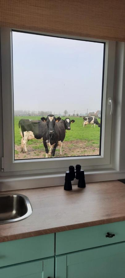 Willa La Vache Au Lit Damme Zewnętrze zdjęcie