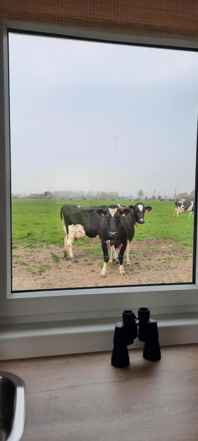 Willa La Vache Au Lit Damme Zewnętrze zdjęcie